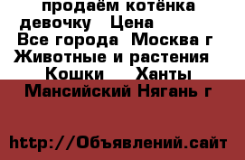 продаём котёнка девочку › Цена ­ 6 500 - Все города, Москва г. Животные и растения » Кошки   . Ханты-Мансийский,Нягань г.